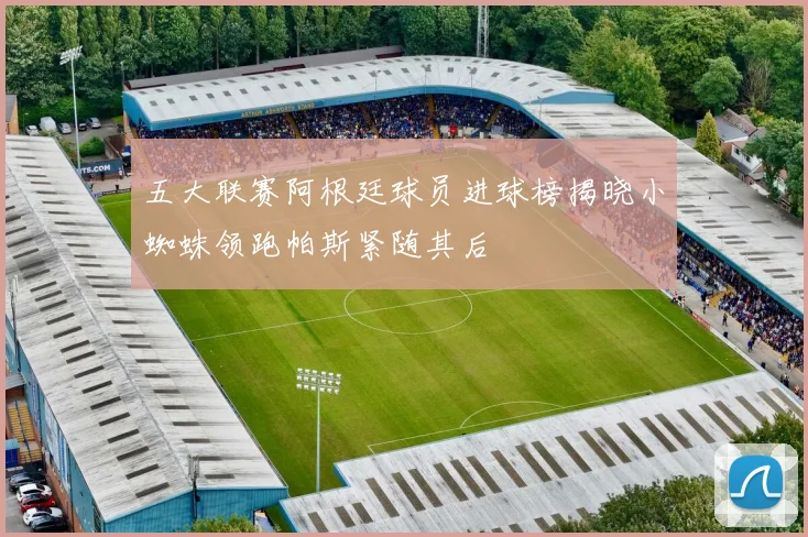 五大联赛阿根廷球员进球榜揭晓小蜘蛛领跑帕斯紧随其后